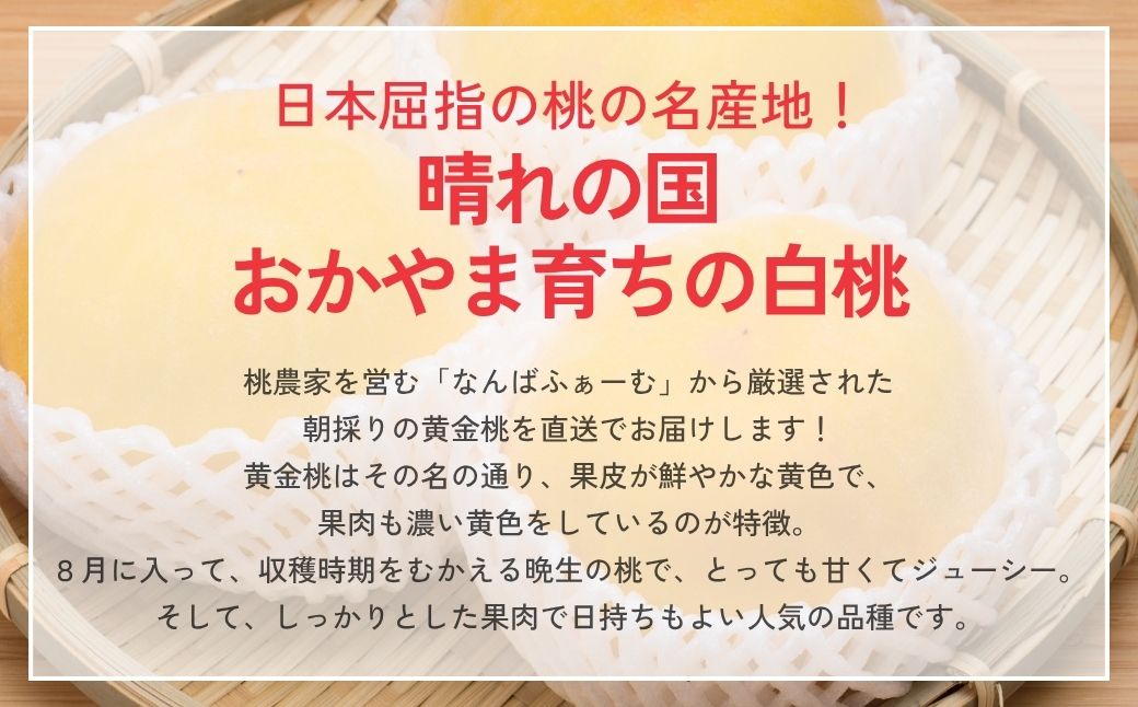 【2026年先行予約】［なんばふぁーむ］岡山県産 黄金桃 2.0kg（5〜9玉）［ご家庭用］【039-a006】 2.0kg（5～9玉）