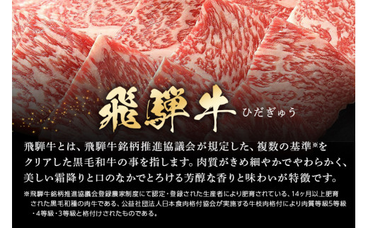 48. 配送日指定可能「A5等級 飛騨牛 焼肉用 ロース 500g」冷蔵配送 150日先まで先行予約可能 バーベキュー BBQ 黒毛和牛 2人前 3人前