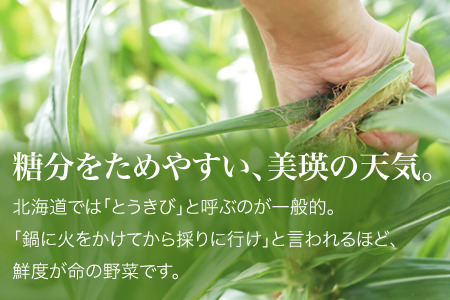 とうもろこし 12本 先行予約 とうもろこし