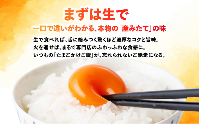 　【朝採れ直送】小峰鶏園 赤たまご Mサイズ 90個 / 卵 玉子 たまご 卵焼き 玉子焼き 生卵 鶏卵 卵かけごはん / 諫早市 / 小峰鶏園 [AHFB002]
