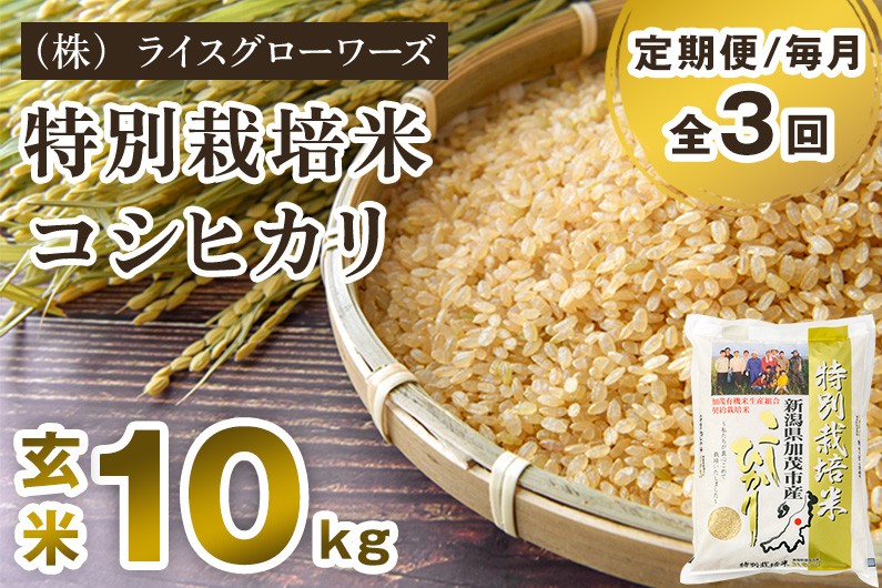 
                  【令和8年産新米先行予約】【定期便3回毎月お届け】特別栽培米 コシヒカリ 玄米 10kg（5kg×2）《10月上旬～順次出荷》 従来品種 従来コシヒカリ お米 米 （株）ライスグローワーズ 新潟県 加茂市産 定期便
                