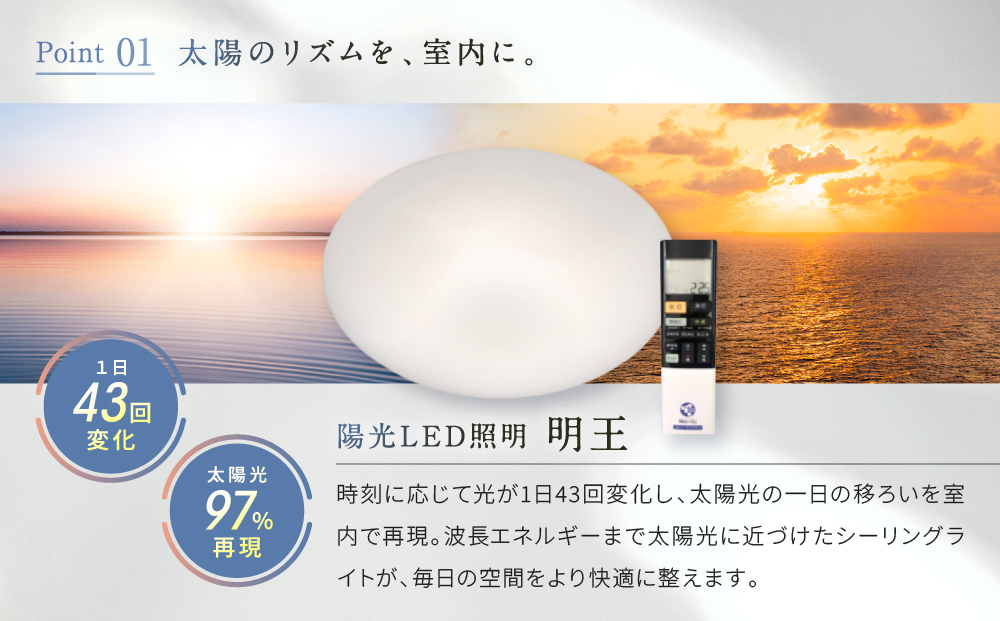 陽光LED照明　明王 心身の様々な不調を改善し健康になる照明
