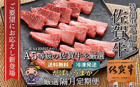 ｎ－７ 【奇数月に６回発送】大人気の赤身も食べられる！佐賀牛 定期便