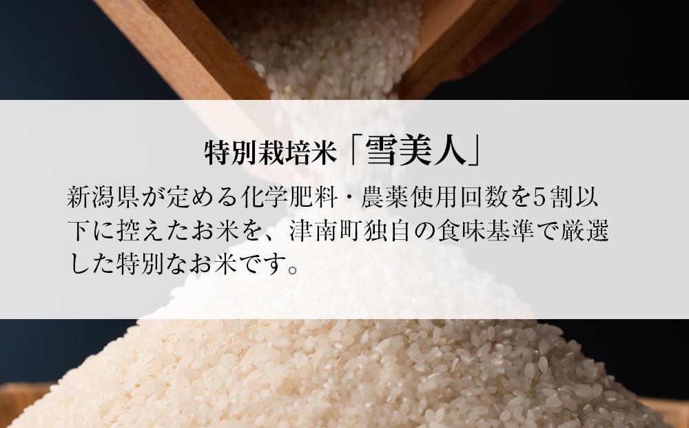 【12ヶ月定期便】【令和8年産】魚沼産コシヒカリ 特別栽培米「雪美人」5kg