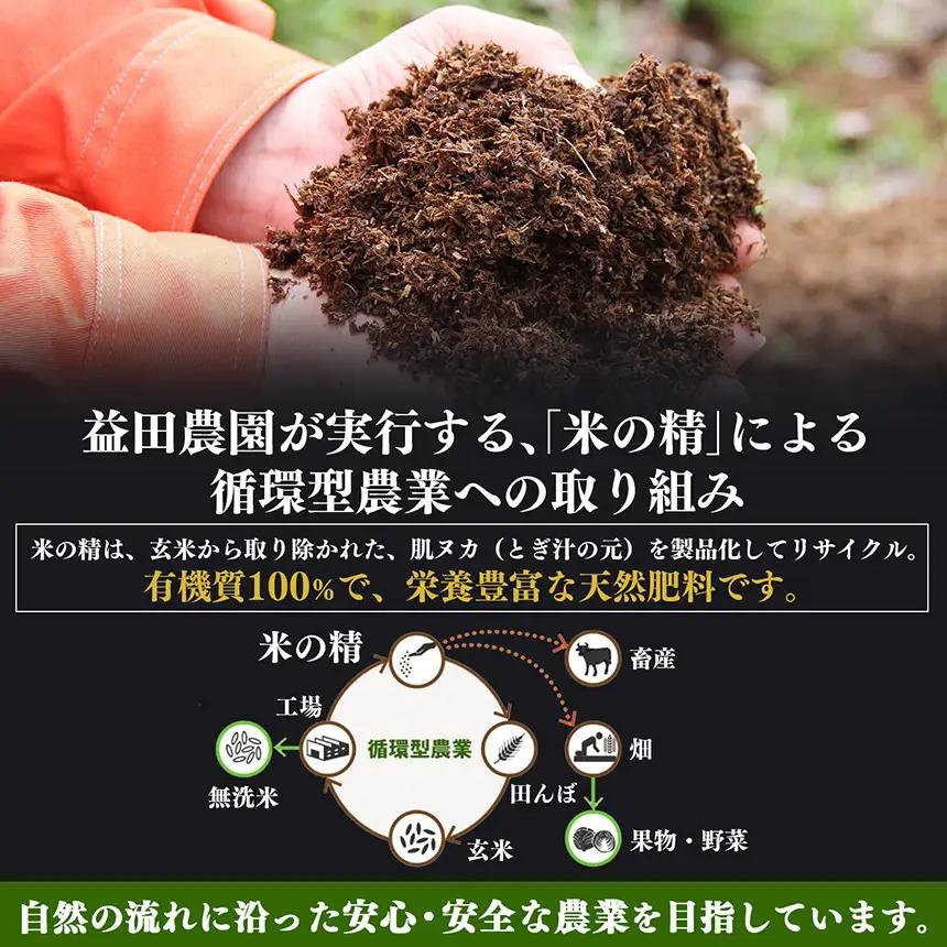 【なら育ち 益田農園】たねなし柿　訳アリ　約1.5kg(5玉～9玉） | 果物 柿 わけあり