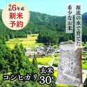 【ふるさと納税】玄米 30kg 令和6年産 あきたこまち 岡山 「おおがや米」生産組合 G-bd-ADZA