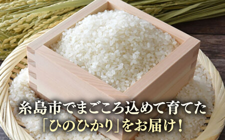 糸島産 ひのひかり 3kg 糸島市 / 糸島ファーム青空 白米 ヒノヒカリ [ASM002]