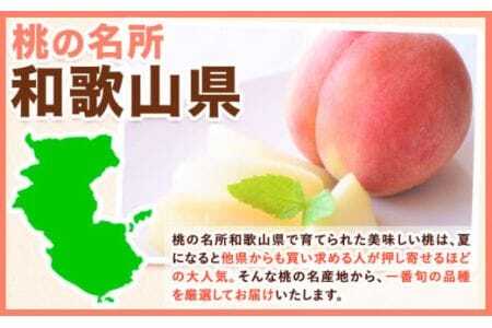 和歌山県産 紀の里の桃 約1kg (3-5玉)《2026年6月中旬-8月中旬頃出荷》 桃桃桃