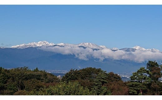 小さな丘から生まれた大人の贅沢