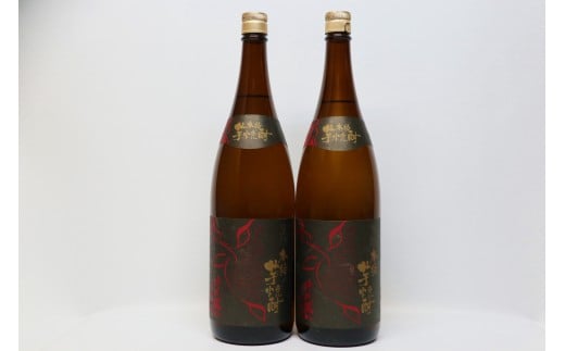 
            球磨焼酎　堤酒造　黒麹芋焼酎時代蔵八 1800ml×2本
          