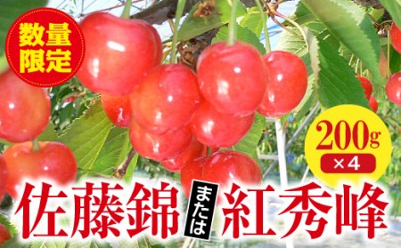 ＜先行予約＞《福島県》伊達市産 さくらんぼ 佐藤錦 または紅秀峰 （200g×4パック） F20C-123