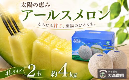 太陽の恵み（アールスメロン）4Lサイズ／2玉　約4kg