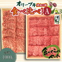 【ふるさと納税】オリーブ牛 焼肉二種食べ比べセットA 国産牛 肩ロース モモ肉 赤身