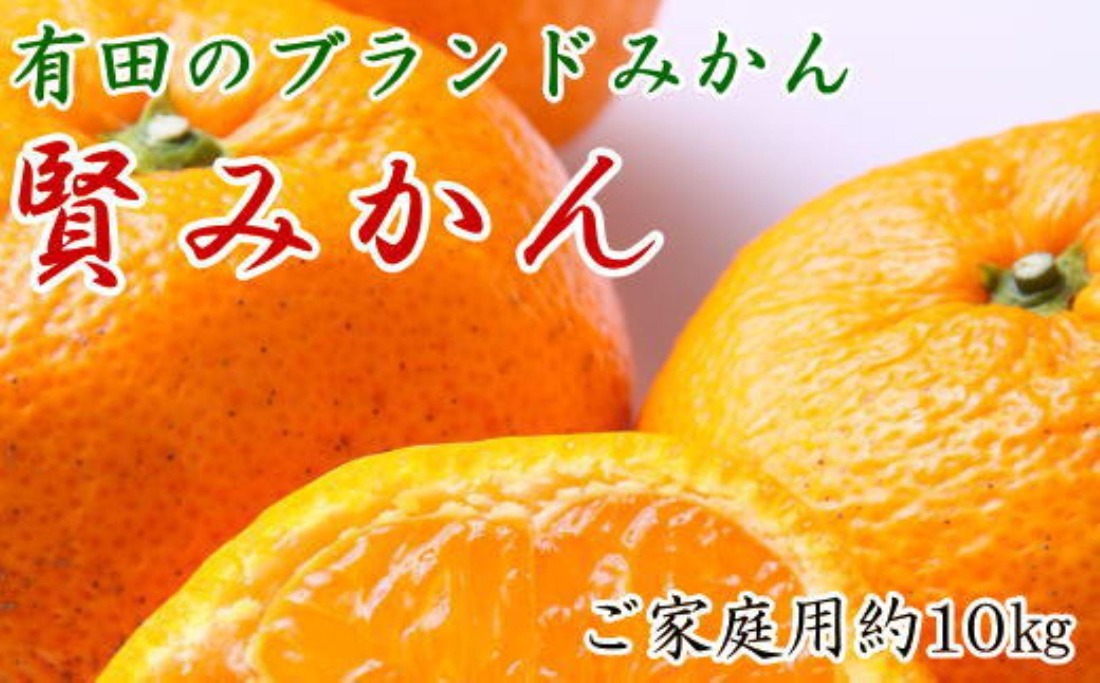 有田のブランド「賢みかん」約10kg サイズ混合 ご家庭用［2026年11月中旬頃より順次発送］ BZ131