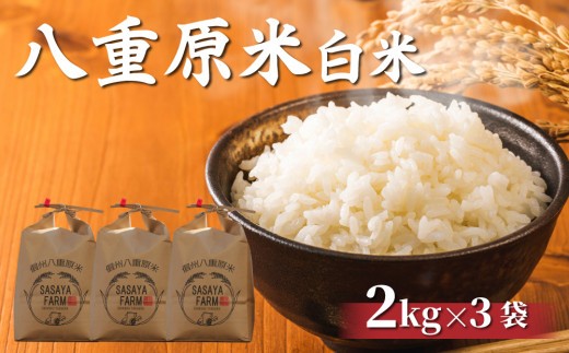 令和8年新米予約！八重原米 白米6kg(2kg×3袋)　※2026年10月以降順次発送｜笹屋農園「農薬削減長野県認証取得」特A米 コシヒカリ