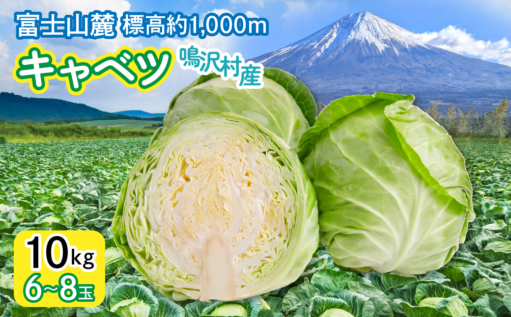 ＜2026年発送＞キャベツ　9kg　（6～8玉） NSAK005