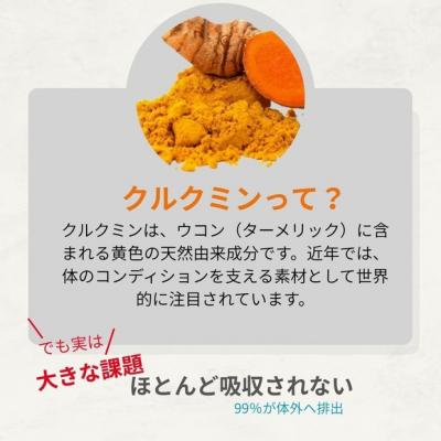 ふるさと納税 川崎市 高吸収型クルクミン　クルクルージュ62粒入り1本 |  | 02