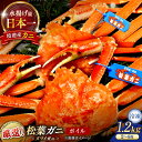 【ふるさと納税】松葉がにボイル姿1.2kg以上(2～4枚) 島根県松江市/中浦食品株式会社[ALBO003]