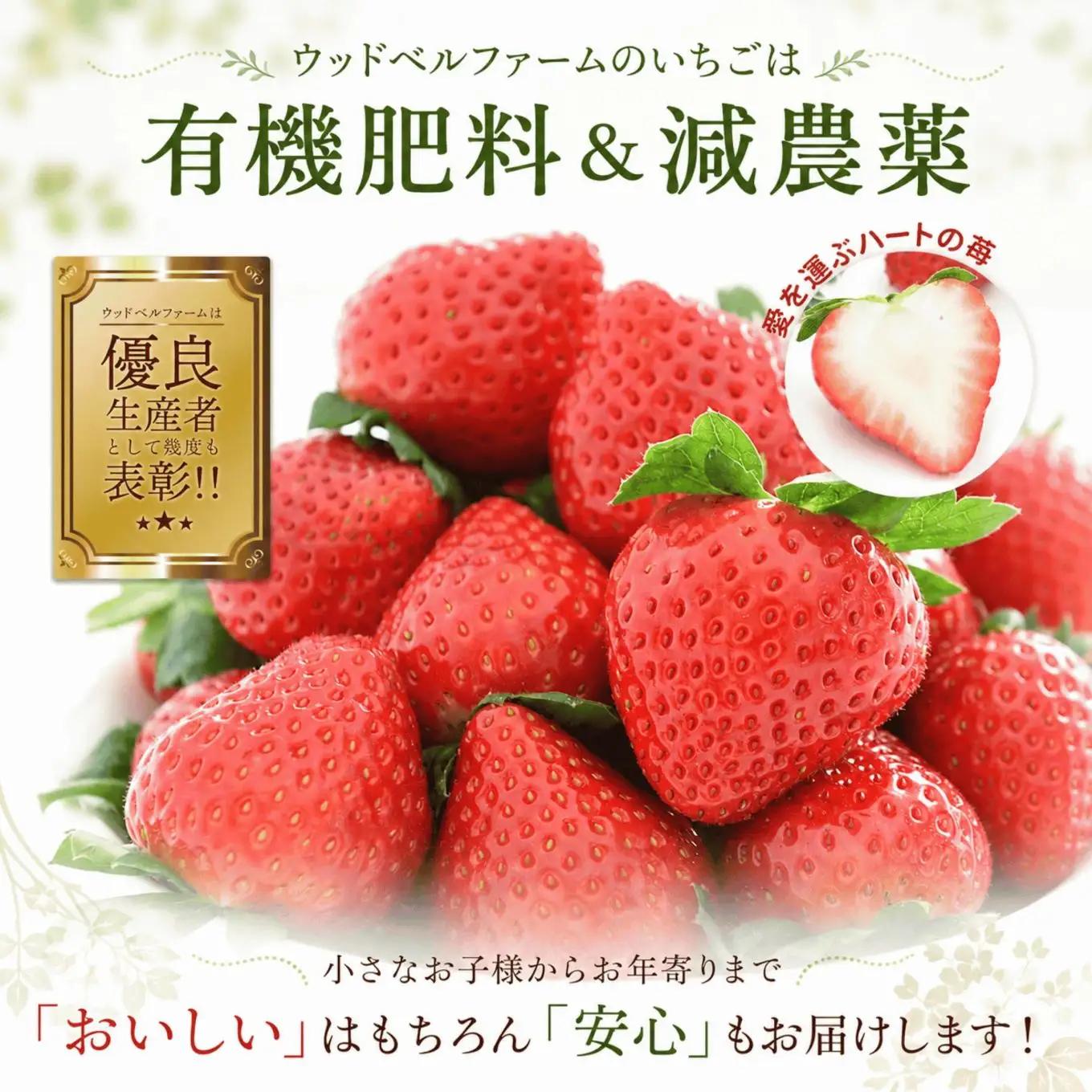 【2027年 先行予約】朝採れいちご とちあいか 700g ソフトパック