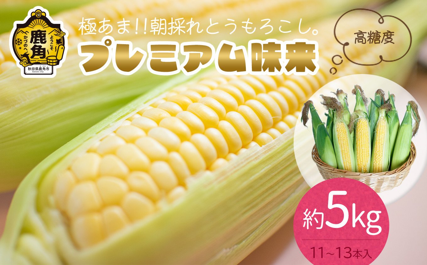 
            《 先行予約 》秋田県鹿角産 朝採り プレミアム味来 約5kg（11～13本）【さとう農園】●2025年7月下旬発送開始 朝採り 甘い 秋田県 鹿角産 新鮮 野菜 安全 トウモロコシ スイートコーン 中元 お歳暮 母の日 父の日 グルメ ギフト 故郷 秋田 あきた 鹿角市 鹿角 送料無料 
          