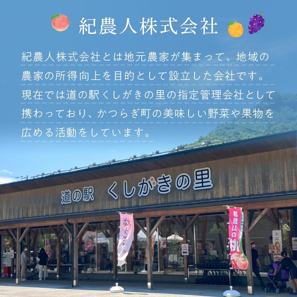 ［限定］ 富有柿 2kg～2.5kg 6個入 至高の逸品 約1000個に１個！［先行予約］［2026年11月初旬頃から発送］［KG5］ XM90005 _イメージ3