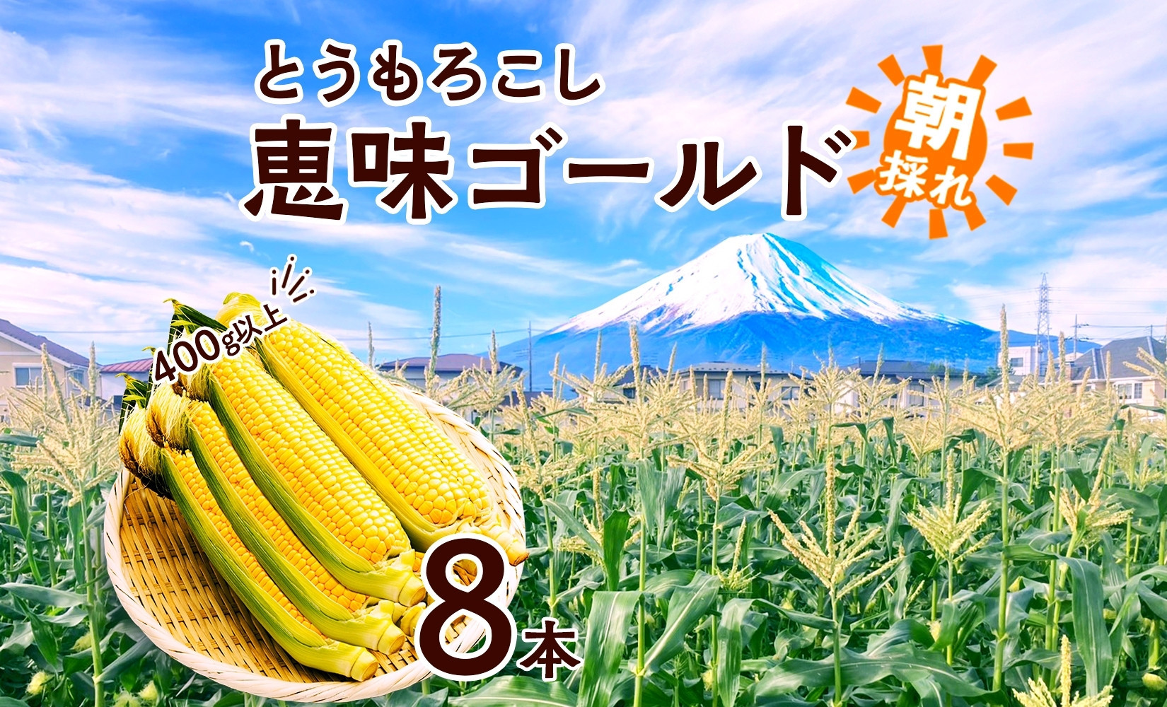 とうもろこし 恵味 ゴールド 400g以上 × 8本 計3.2kg以上 糖度17度以上 トウモロコシ スイートコーン 玉蜀黍 イエローコーン 黄 夏野菜 ジューシー 野菜 おやつ 旬 産地直送 湖南野菜出荷組合 山梨県 富士河口湖町