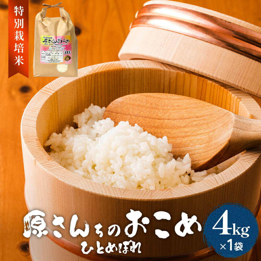 【ふるさと納税】令和6年度産 原さんちのお米 4kg ひとめぼれ 特別栽培米 原農園 化学肥料不使用 アートテン農法 抗酸化農法 完熟堆肥 有効微生物農法 産直 お米 栄養価 体に良い おいしい 安心 田植え 収穫