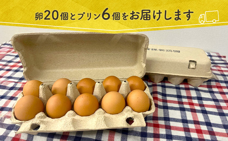 卵 鈴保養鶏 うみたて 卵 スイーツ セット たまご 20個 プリン 6個  玉子  詰め合わせ 鶏卵 こだわり おやつ 