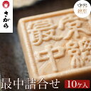 【ふるさと納税】守谷銘菓 最中詰合せ 10ケ入　［さがら製菓］ 菓子 和菓子 もなか　スイーツ　あんこ　詰合せ 詰め合わせ おやつ ギフト プレゼント　おみやげ 贈答 贈物 ご当地　茨城県