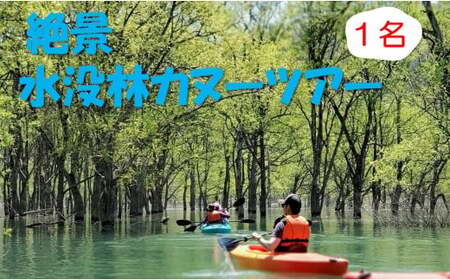 絶景 水没林カヌーツアー（1名様） 癒しの自然満喫アクティビティ【フォトジェニックスポット】