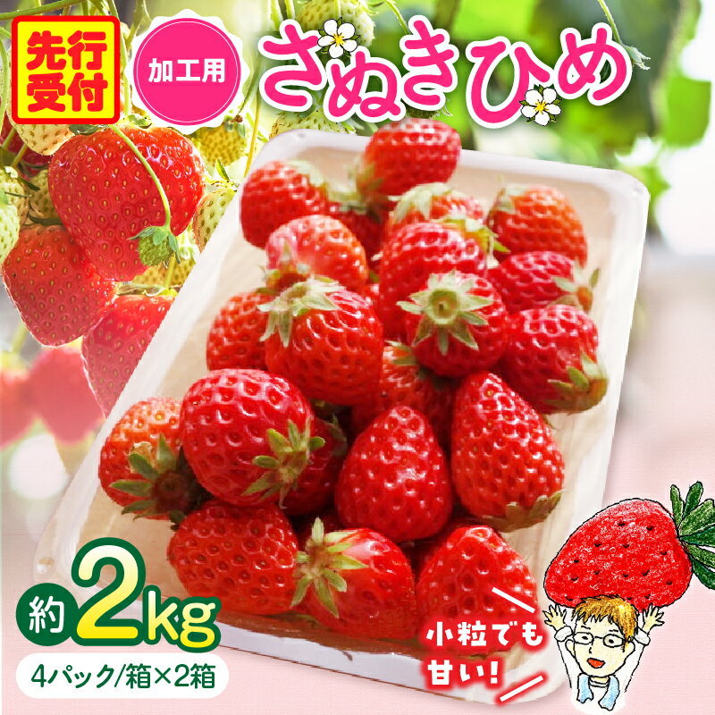 【ふるさと納税】【2026年発送分 先行受付】苺音クラフト〜加工用さぬきひめいちご約2kg スイーツ いちご ストロベリー さぬきひめ 苺 冷蔵 フルーツ 旬 果物 香川県 デザート 青果物 先行予約 季節限定 旬 おすすめ 三木町 送料無料