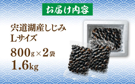 宍道湖産 冷凍大和しじみ 砂抜き済 Lサイズ 1.6kg　23010-05