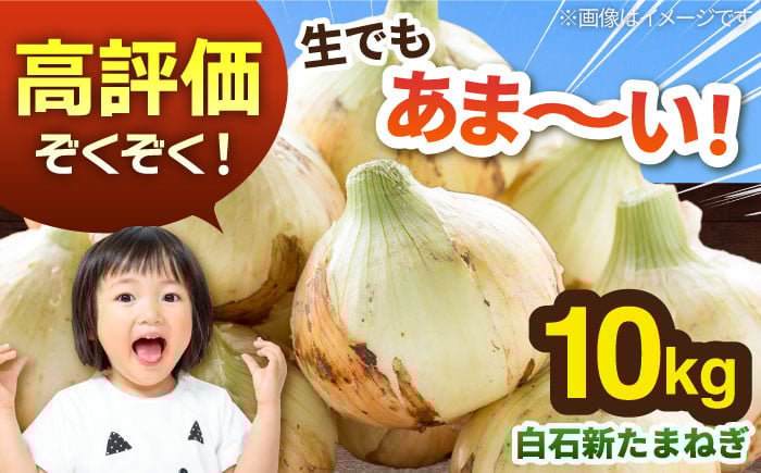 【玉ねぎの名産地！】白石産新たまねぎ（10kg）【佐賀県農業協同組合】