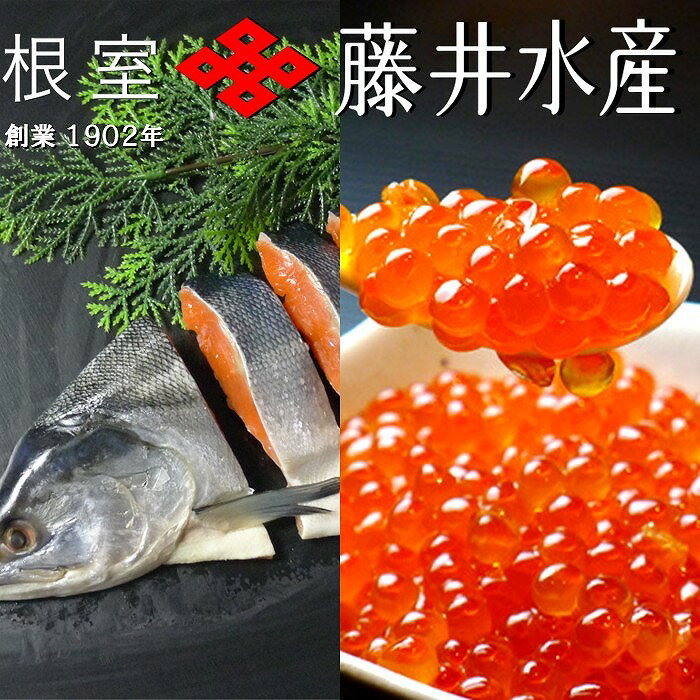 【ふるさと納税】【12月21日決済確定分まで年内配送】 紅鮭姿切り 1.2kg × 1P ・いくら醤油漬け 80g × 2P 鮭 さけ サケ しゃけ シャケ 魚 さかな サカナ 紅ざけ 紅ザケ べにざけ ベニザケ イクラ 醤油 醤油漬 魚卵 鮭卵 お取り寄せ グルメ 海鮮 北海道 根室市 B-42107