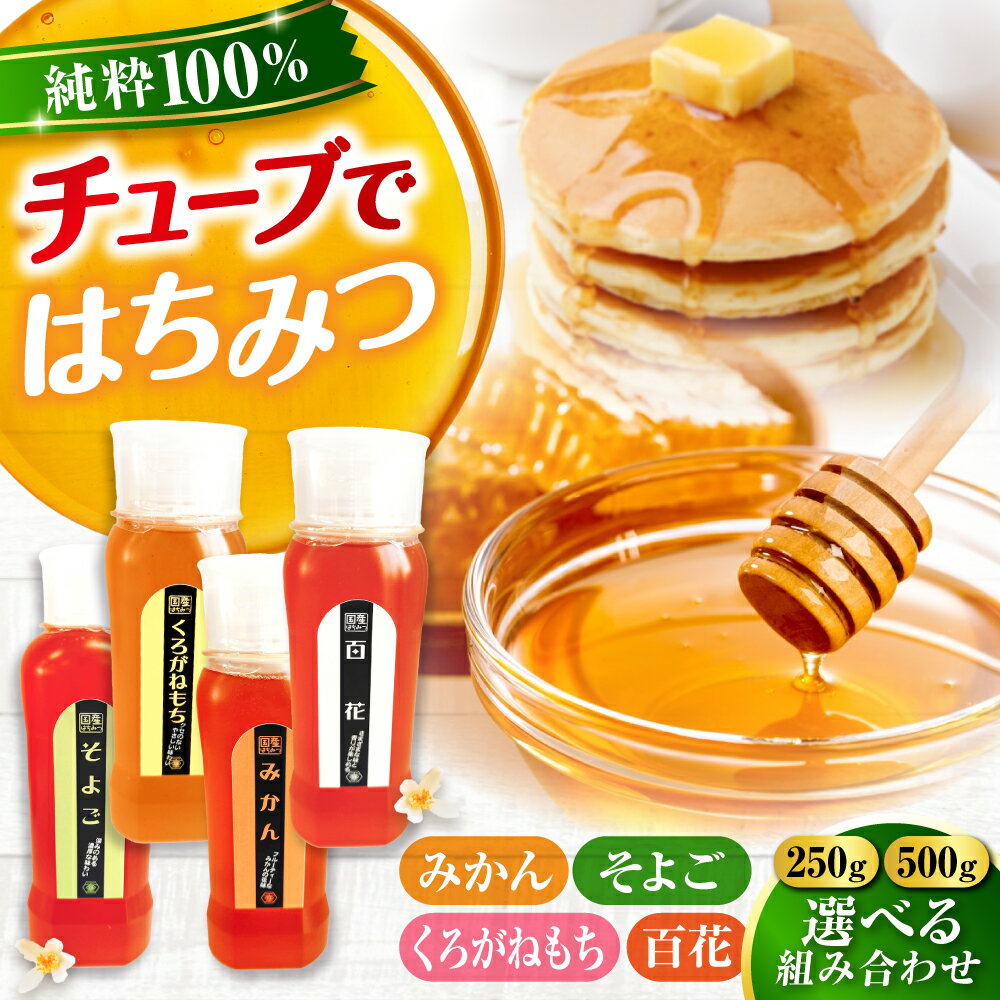 【ふるさと納税】手軽に簡単チューブはちみつ 選べる組み合わせ！（百花・みかん・くろがねもち・そよご）（250g・500g） 計2本セット 蜂蜜 ハチミツ お取り寄せ 選べる グルメ 三次市/重森養蜂場[APBO013]