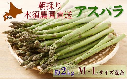 
[№5525-0513]伊達【木須農園】の採れたてグリーンアスパラ約2kg
