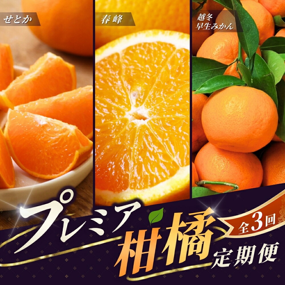 【ふるさと納税】 【全3回定期便】和歌山のプレミア柑橘定期便 （越冬早生みかん・せとか・春峰 各3kgずつ） ※2025年1月より3回お届け / みかん 定期便 柑橘 せとか フルーツ 早生みかん ミカン 和歌山 果物 田辺市 くだもの