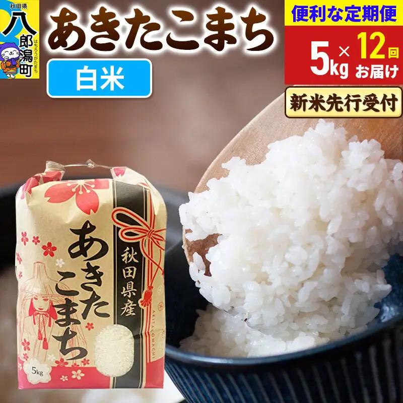 《令和8年産 新米受付》《定期便12ヶ月》あきたこまち 5kg【白米】 秋田県産 こまちライン