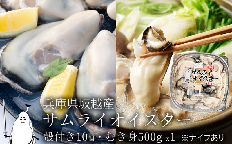 牡蠣 生食 坂越かき むき身 500g×1、 殻付き 10個(牡蠣ナイフ・軍手付き)サムライオイスター 生牡蠣 冬牡蠣