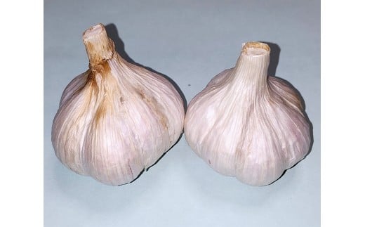 にんにくSサイズ（栽培期間中農薬不使用）約800g |  野菜 やさい にんにく ニンニク 兵庫県 上郡町
