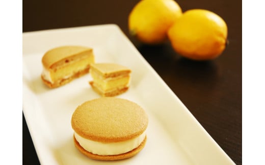 サブレケーキ　広島レモン【１０個入り】  