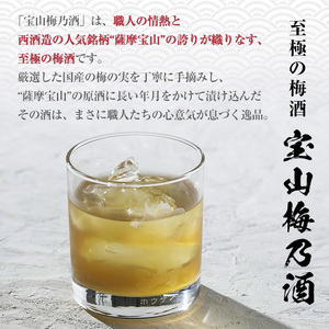 No.916 宝山梅乃酒 三年熟成(720ml×3本)！ 梅酒 酒 アルコール 家飲み 宅飲み 梅 国産 常温 常温保存【西酒造】