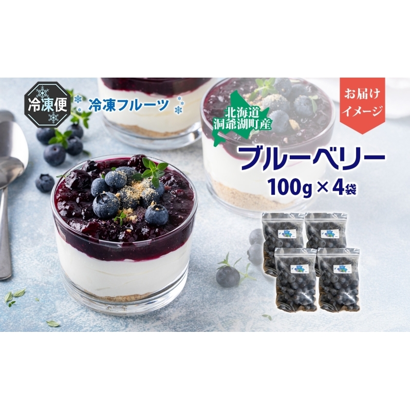北海道産 ブルーベリー 100g 7袋 果物 果実 くだもの 冷凍食品 おやつ デザート ジュース ヨーグルト ジャム スイーツ 簡単 便利 一人暮らし 小分け 製菓 送料無料 冷凍 北海道 洞爺湖町