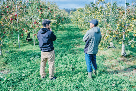 Green Neighbors Hard Cider FLAGSHIP 12本set (DRY)【毎月数量限定】(DB016)