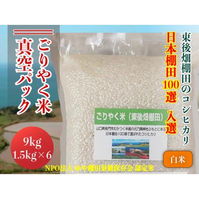 ふるさと納税 長門市 ごりやく米「東後畑棚田こしひかり」白米9kg(真空パック1.5kg×6個)(1350)