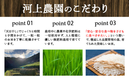 令和5年産 無肥料栽培ササニシキ 玄米 5kg(5kg×1袋) 河上農園 岡山県矢掛町《30日以内に出荷予定(土日祝除く)》 農薬・化学肥料不使用 お米 コメ こめ