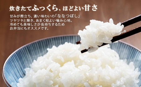 ななつぼし 精米 特A 北海道産 ななつぼし【15kg】【定期便 全3回】