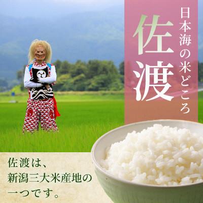 ふるさと納税 佐渡市 【毎月定期便】佐渡 川上農産のこしいぶき 精米(2kg)全3回 |  | 01