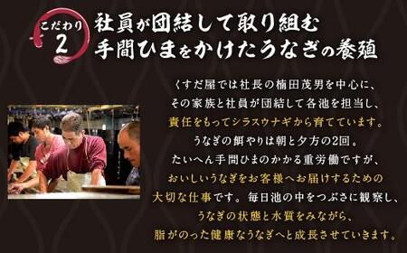くすだ屋の鰻2尾_150gx2