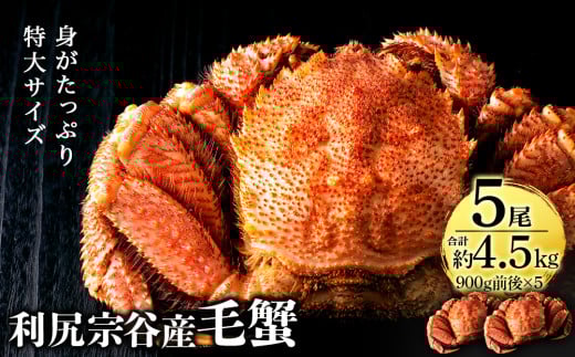 【2025年4月以降発送】北海道 利尻・宗谷産 毛ガニ 特大サイズ（900g前後） 5尾セット＜利尻漁業協同組合＞